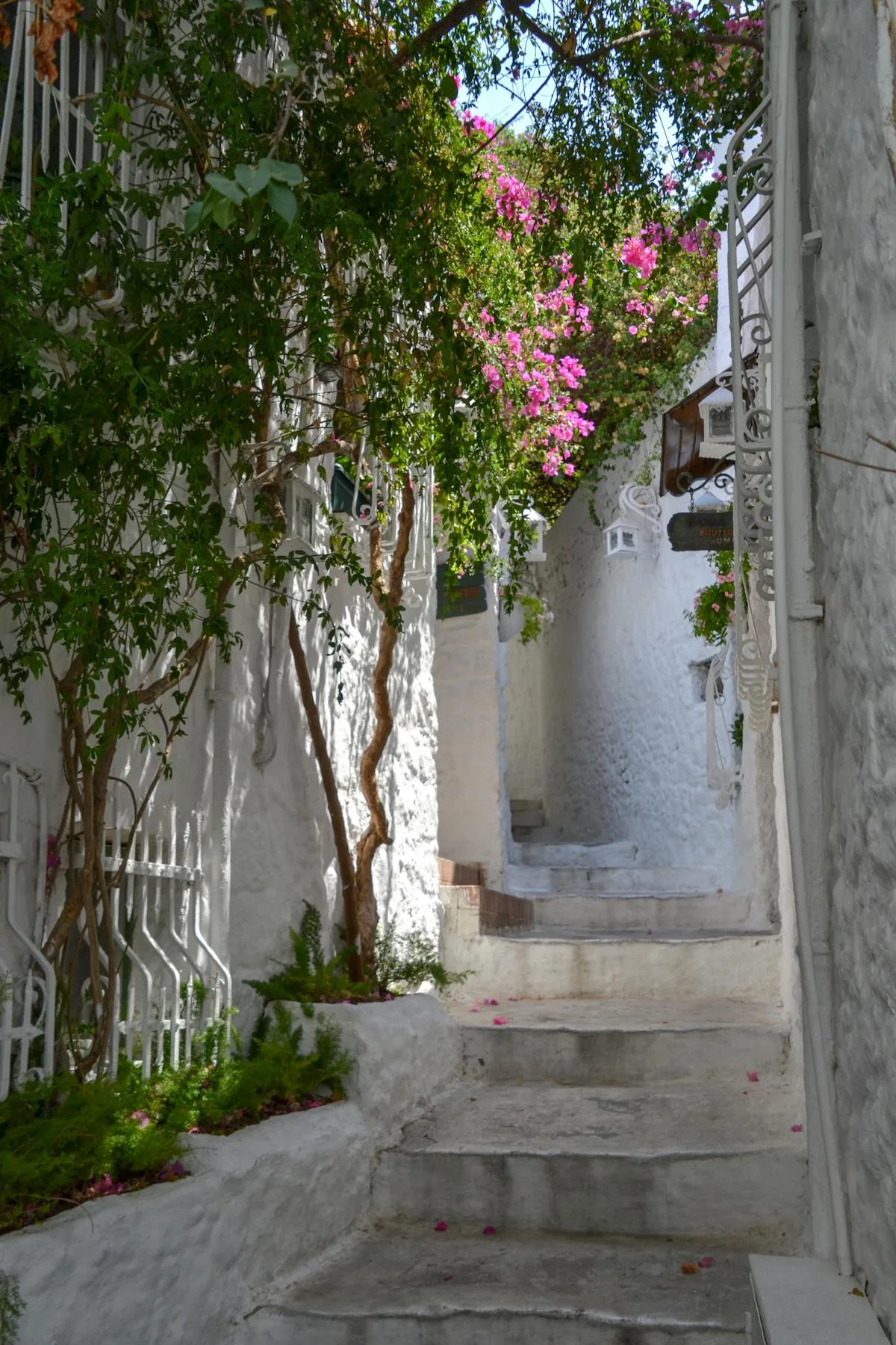 Flower-lined alley in Valldemossa village in the Serra de Tramuntana