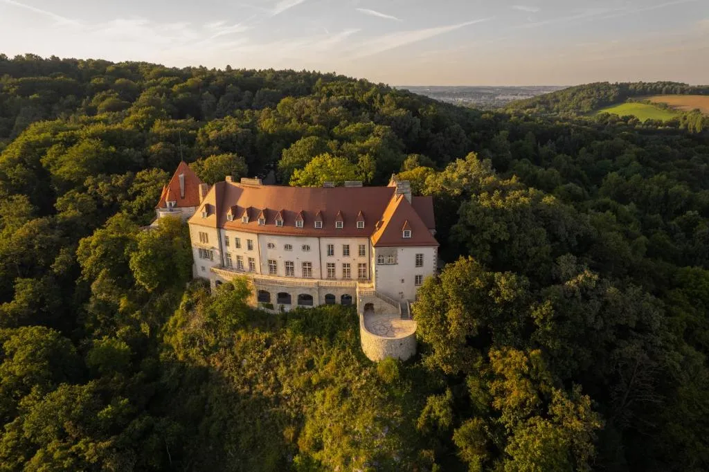 Zinar Castle - Hôtel 5 étoiles, Zwierzyniec, Krakow - photo 1