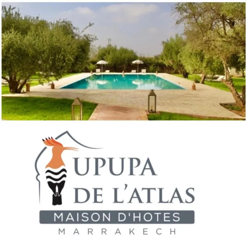 Upupa de l’Atlas - 3-star hotel in Marrakech, Marrakech - photo 1